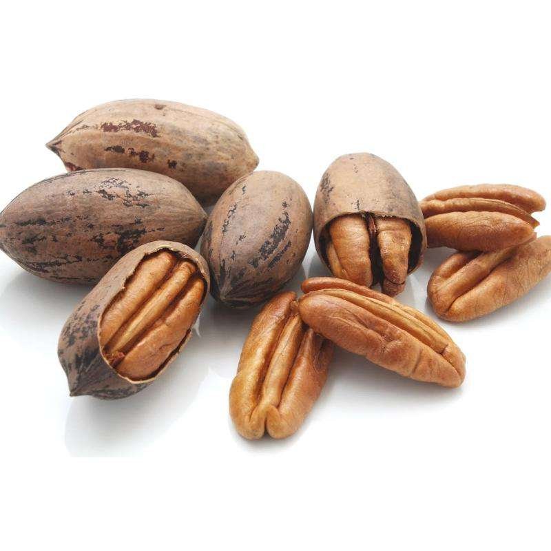 pecan nuts